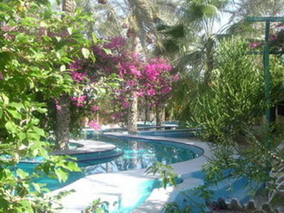 Le Saharien Paradise Douz